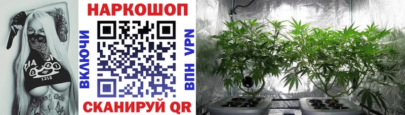 Названия наркотиков Набережные Челны A-PVP  Cocaine  Лсд 25  hydra зеркало  Гашиш  Меф  Бошки Шишки 